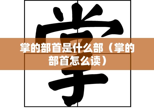 掌的部首是什么部（掌的部首怎么读）