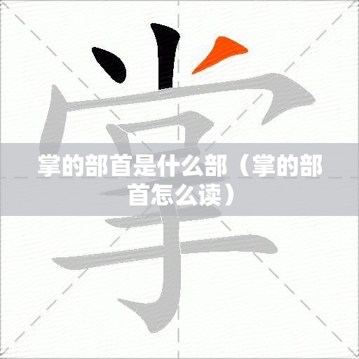 掌的部首是什么部（掌的部首怎么读）