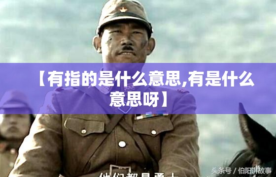 【有指的是什么意思,有是什么意思呀】