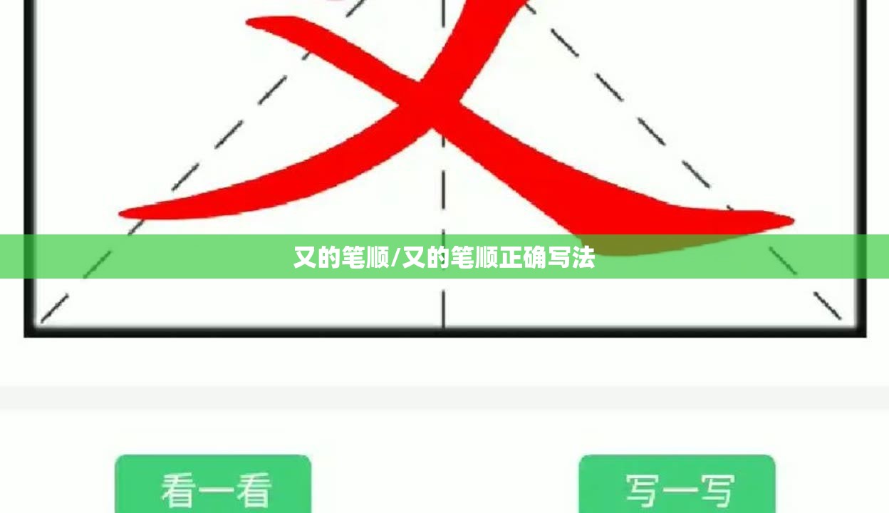 又的笔顺/又的笔顺正确写法