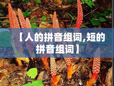 【人的拼音组词,短的拼音组词】