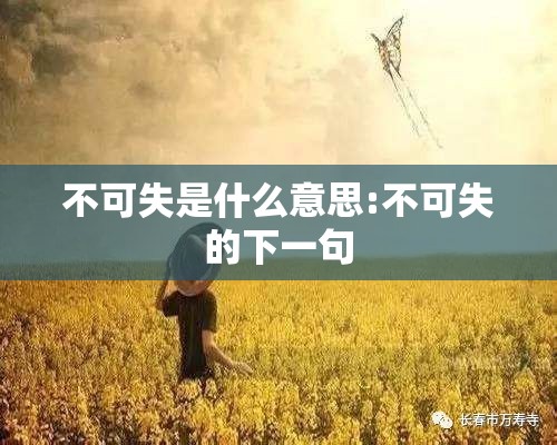 不可失是什么意思:不可失的下一句