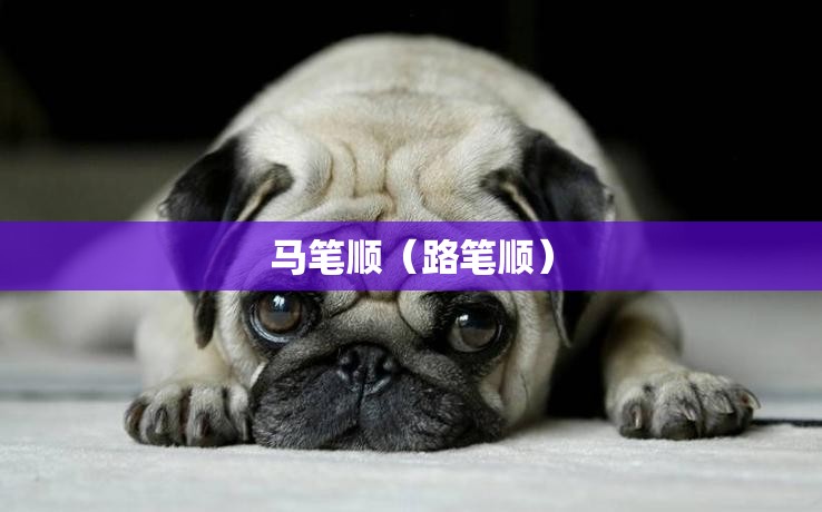 马笔顺（路笔顺）