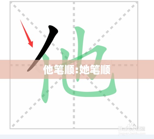 他笔顺:她笔顺