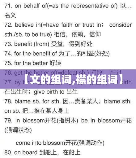 【文的组词,襟的组词】
