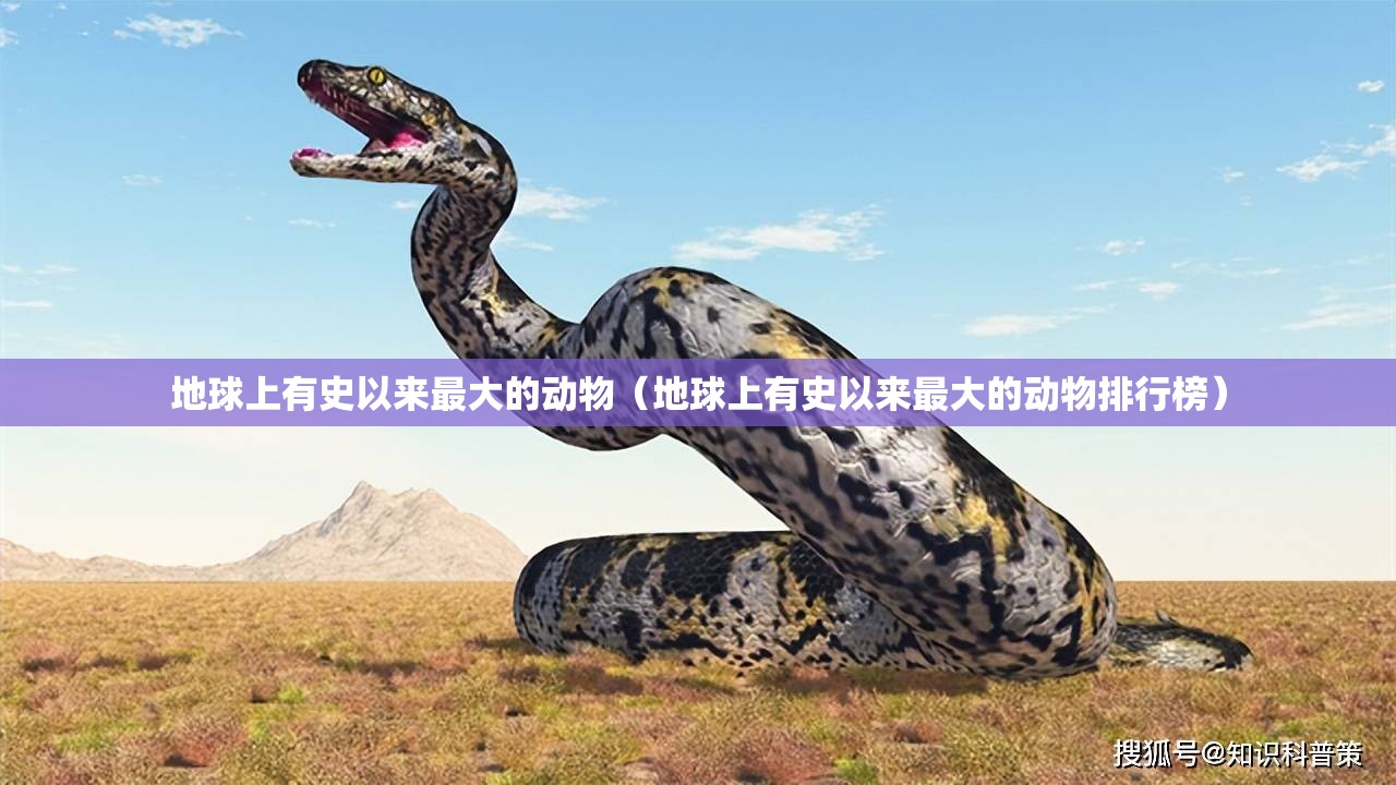 地球上有史以来最大的动物（地球上有史以来最大的动物排行榜）
