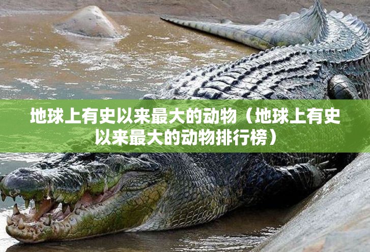 地球上有史以来最大的动物（地球上有史以来最大的动物排行榜）