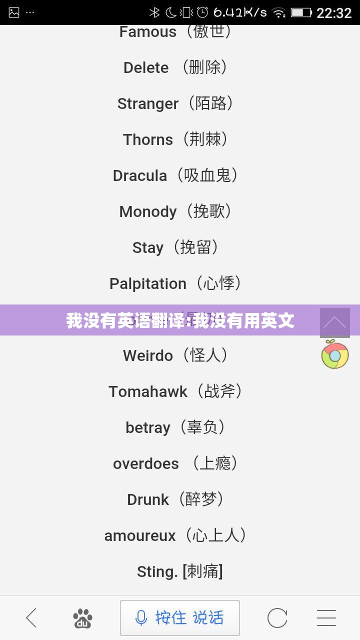 我没有英语翻译:我没有用英文