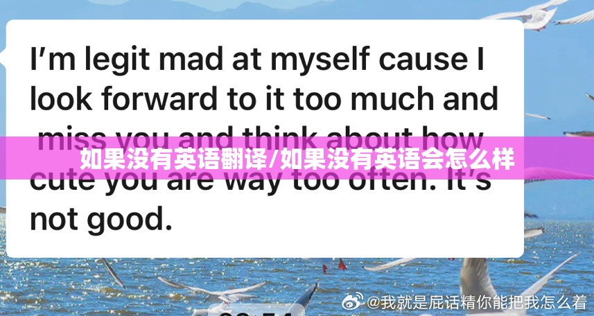如果没有英语翻译/如果没有英语会怎么样