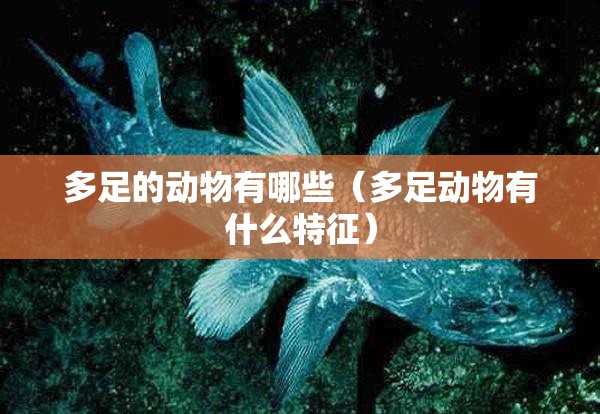 多足的动物有哪些（多足动物有什么特征）