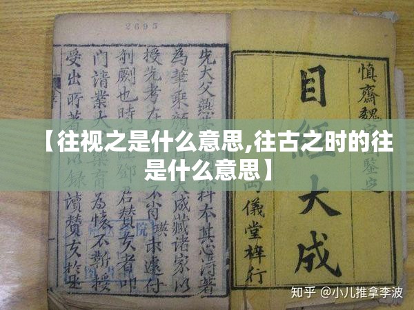 【往视之是什么意思,往古之时的往是什么意思】