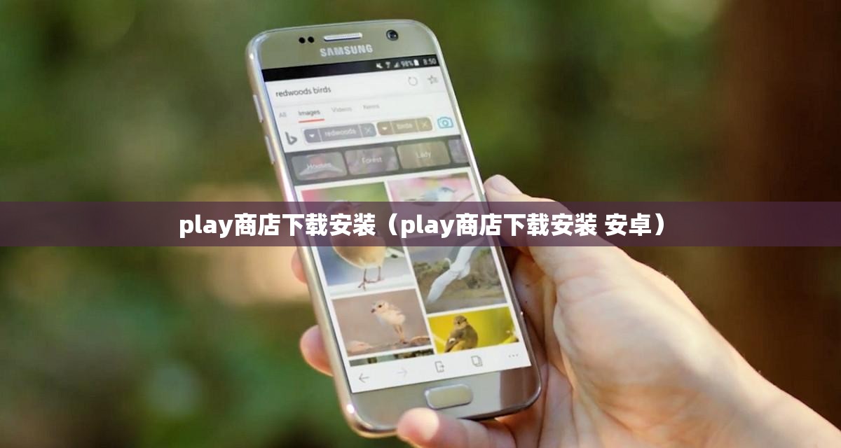 play商店下载安装（play商店下载安装 安卓）