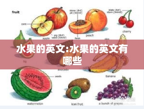 水果的英文:水果的英文有哪些
