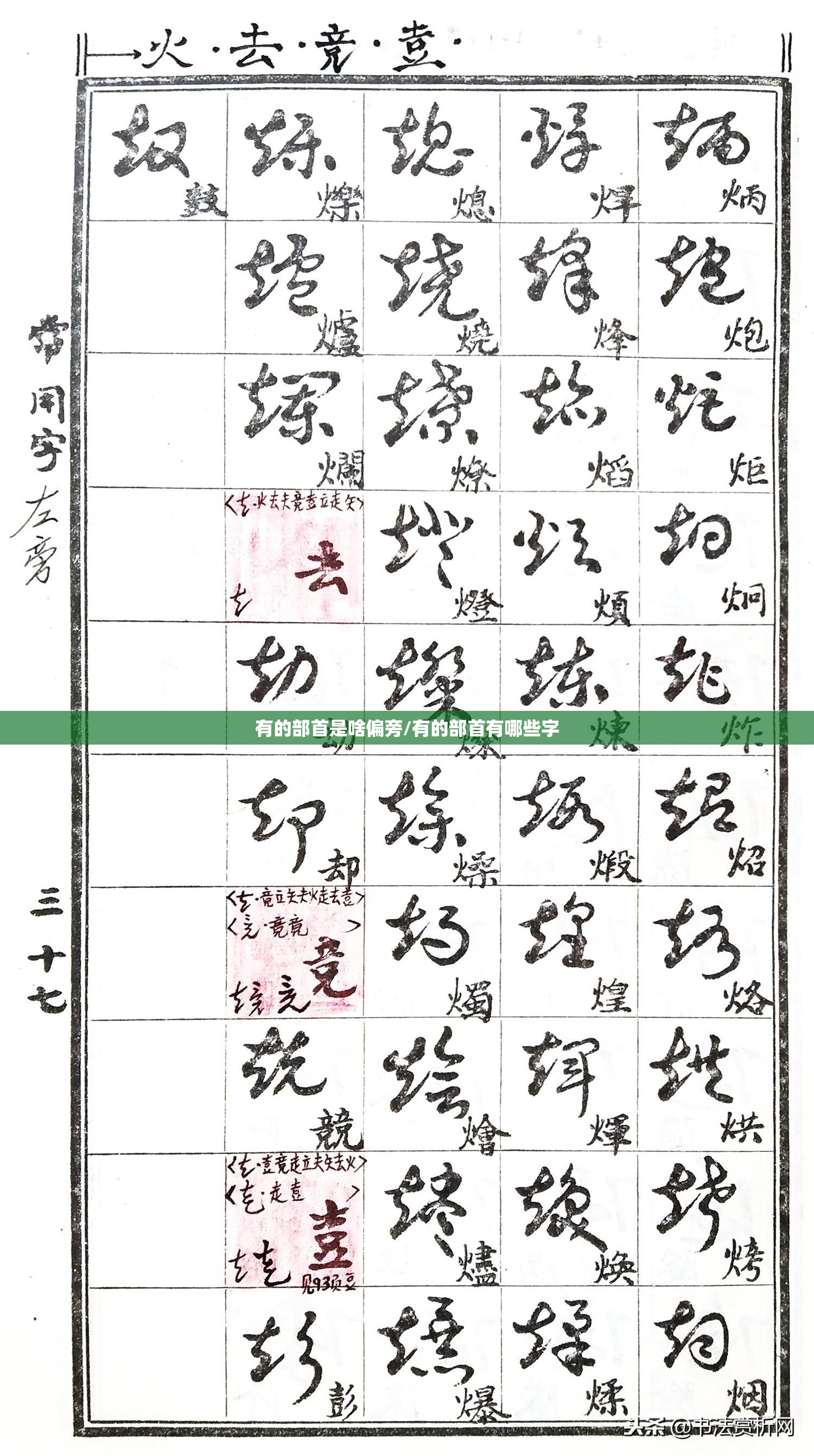 有的部首是啥偏旁/有的部首有哪些字