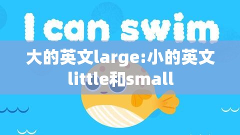 大的英文large:小的英文little和small