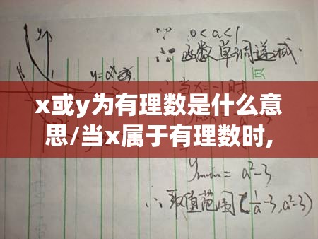 x或y为有理数是什么意思/当x属于有理数时,y等于1是什么函数