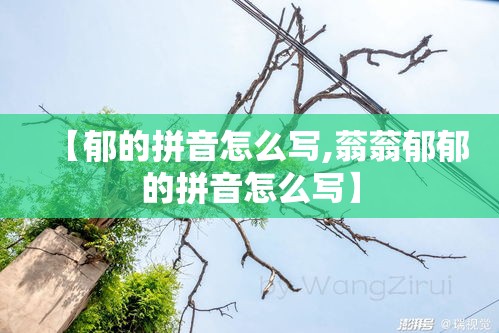 【郁的拼音怎么写,蓊蓊郁郁的拼音怎么写】