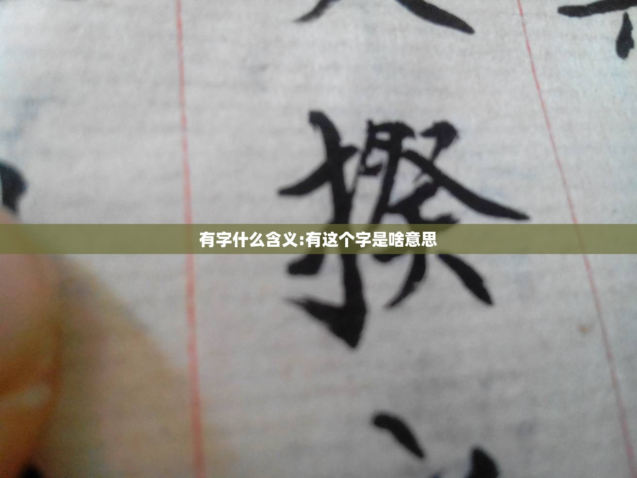 有字什么含义:有这个字是啥意思