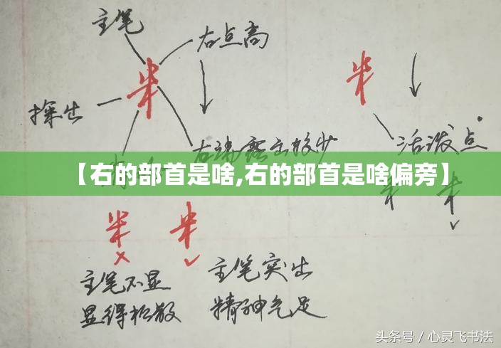 【右的部首是啥,右的部首是啥偏旁】