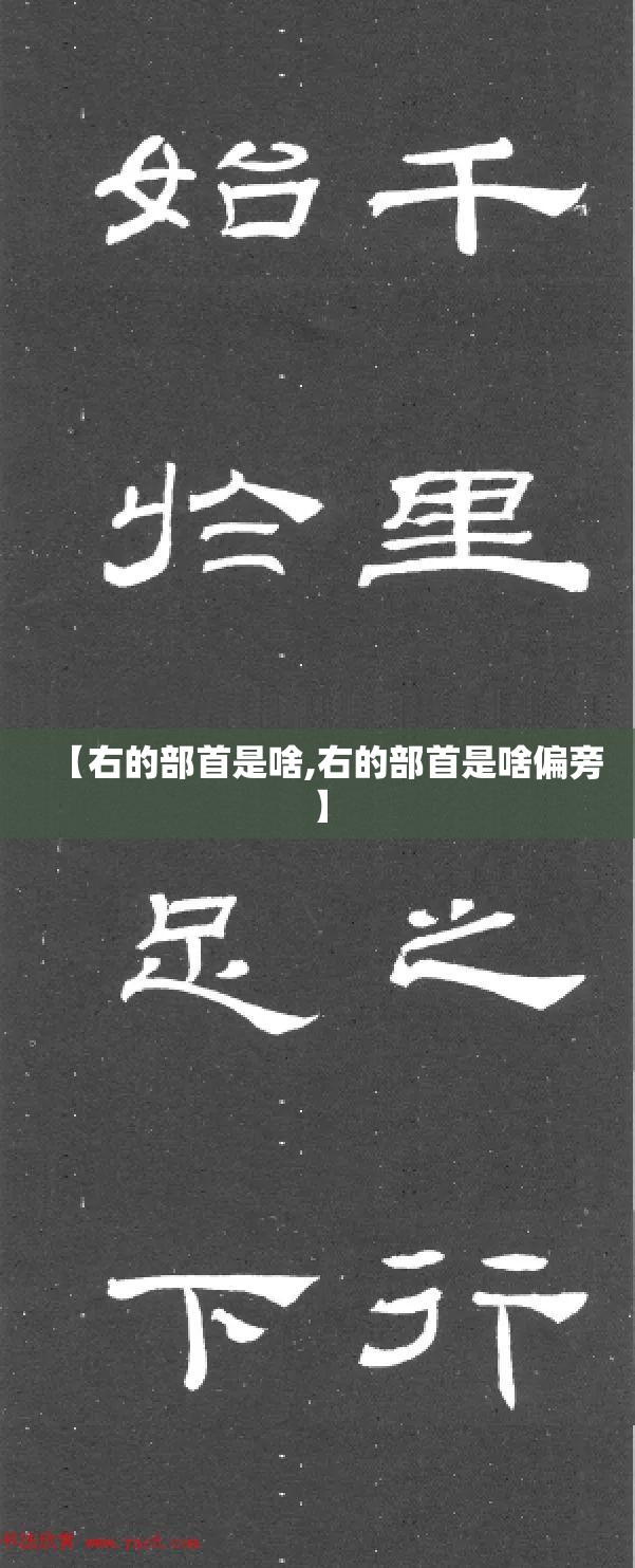 【右的部首是啥,右的部首是啥偏旁】