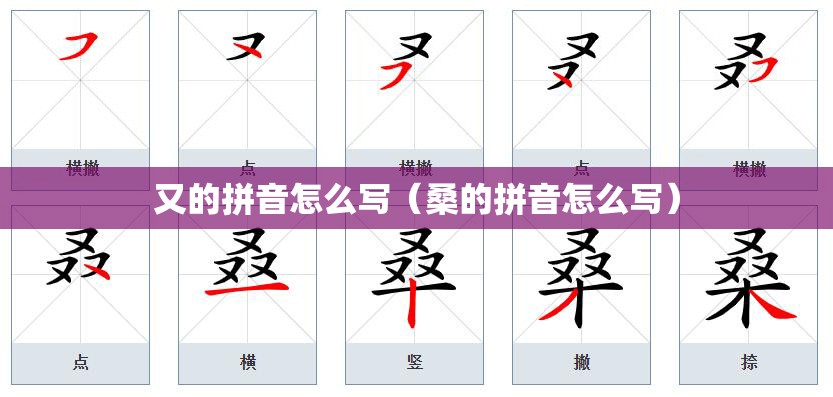 又的拼音怎么写（桑的拼音怎么写）
