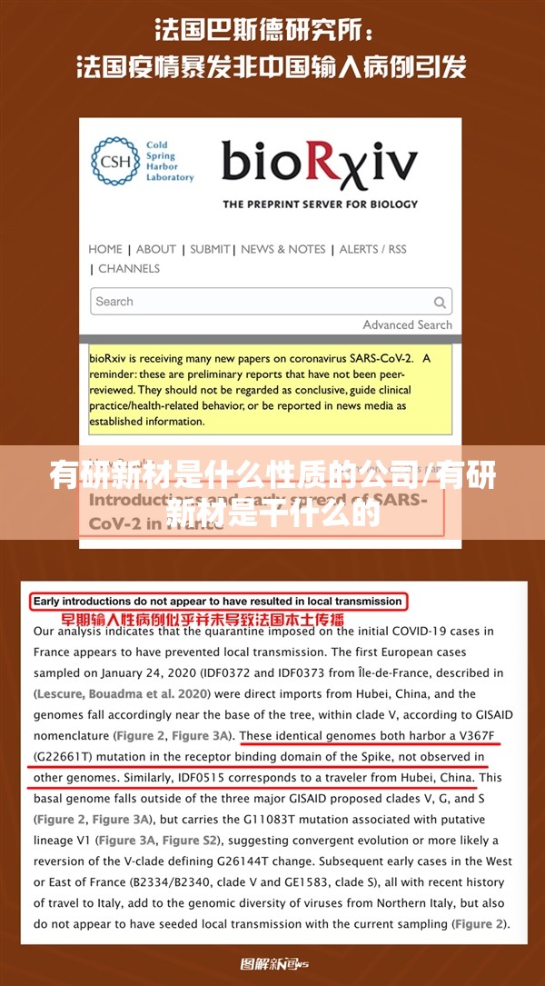 有研新材是什么性质的公司/有研新材是干什么的