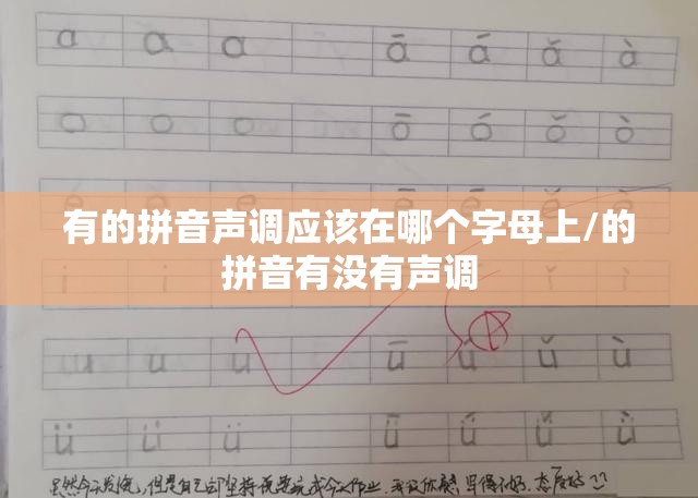 有的拼音声调应该在哪个字母上/的拼音有没有声调