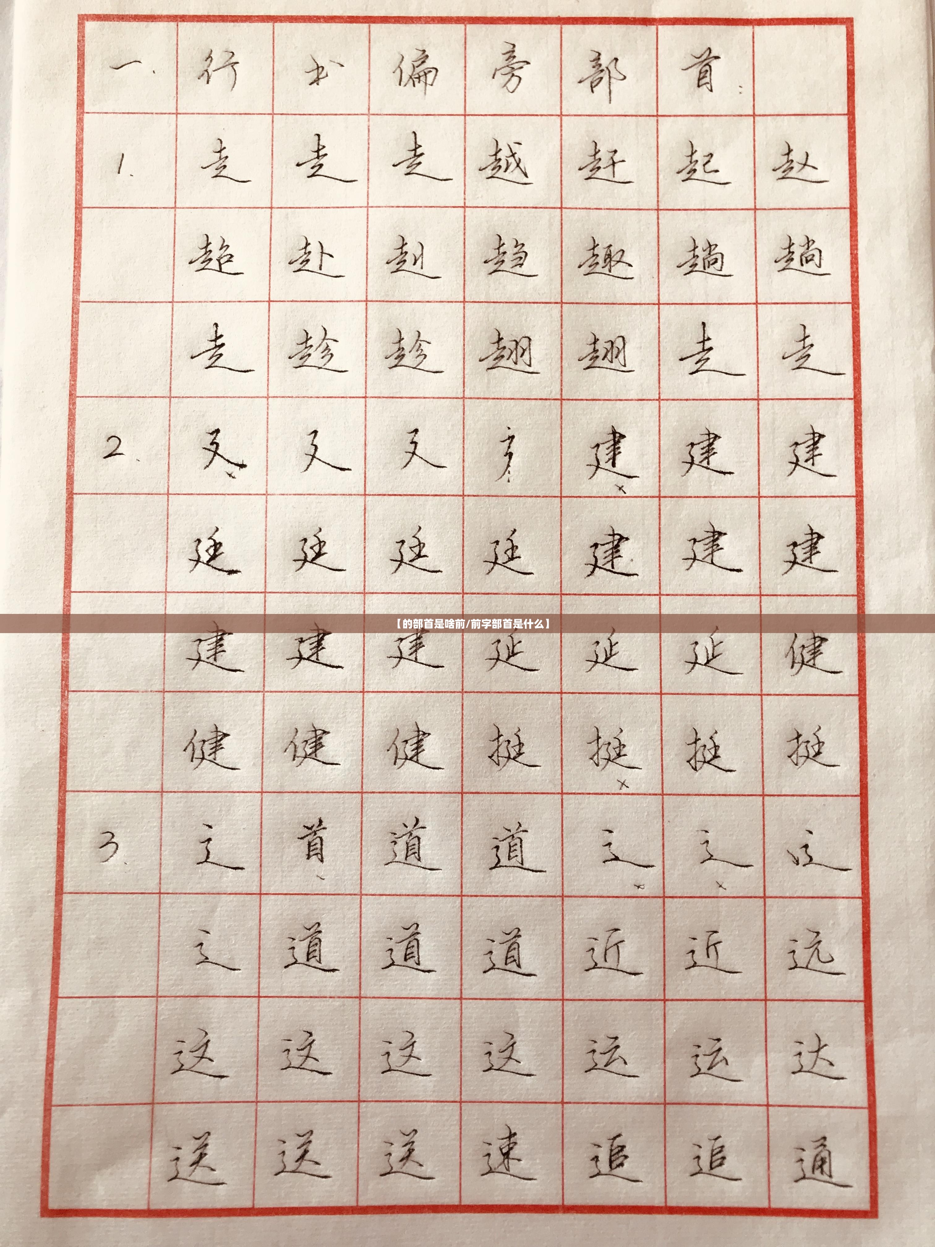 【的部首是啥前/前字部首是什么】