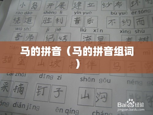 马的拼音（马的拼音组词）