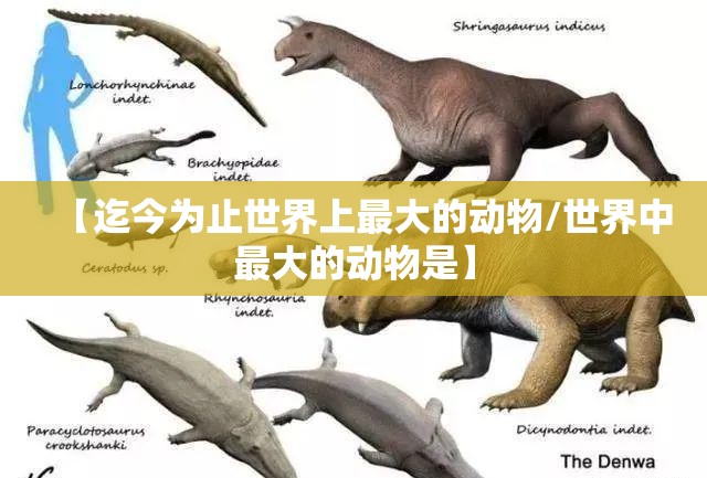 【迄今为止世界上最大的动物/世界中最大的动物是】