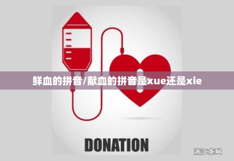 鲜血的拼音/献血的拼音是xue还是xie