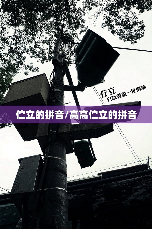 伫立的拼音/高高伫立的拼音