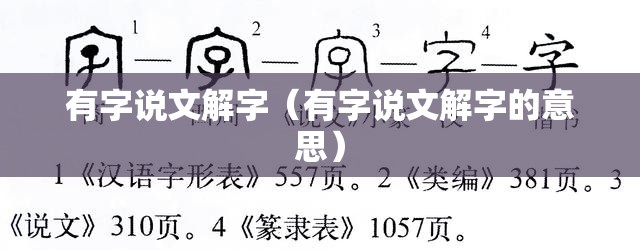 有字说文解字（有字说文解字的意思）