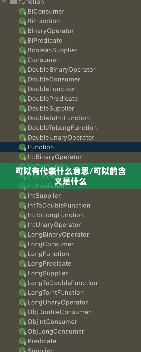 可以有代表什么意思/可以的含义是什么