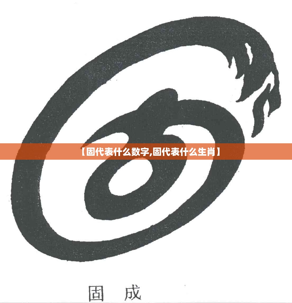 【固代表什么数字,固代表什么生肖】