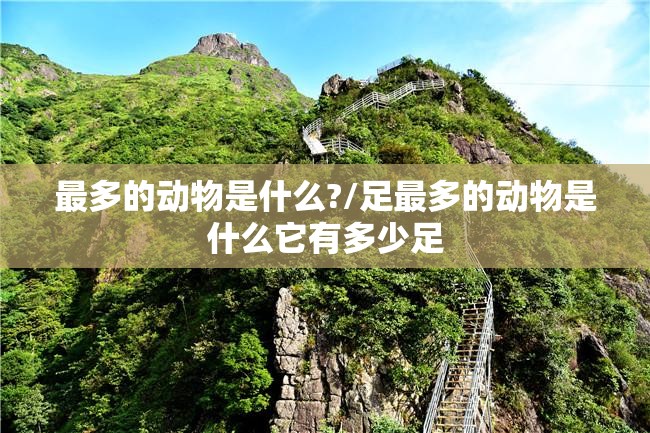 最多的动物是什么?/足最多的动物是什么它有多少足