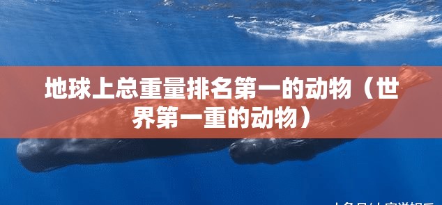 地球上总重量排名第一的动物（世界第一重的动物）