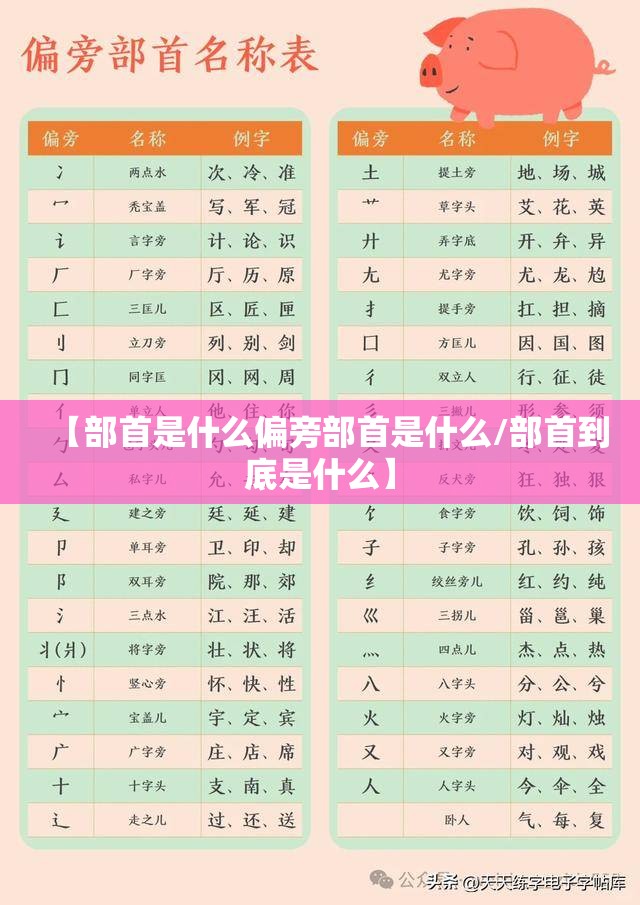 【部首是什么偏旁部首是什么/部首到底是什么】