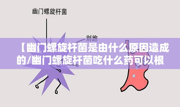 【幽门螺旋杆菌是由什么原因造成的/幽门螺旋杆菌吃什么药可以根治】
