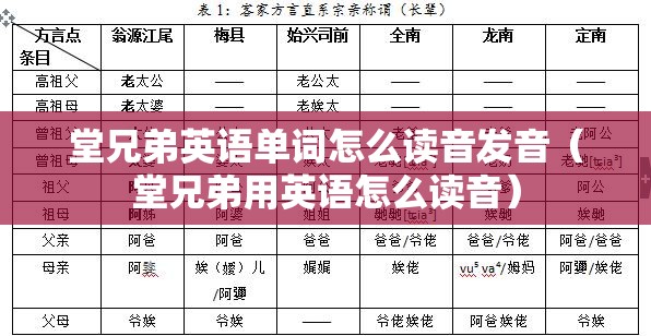 堂兄弟英语单词怎么读音发音（堂兄弟用英语怎么读音）