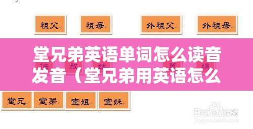 堂兄弟英语单词怎么读音发音（堂兄弟用英语怎么读音）