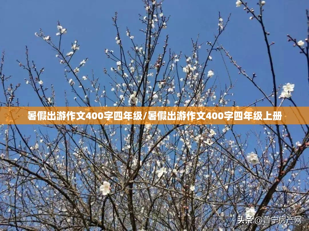 暑假出游作文400字四年级/暑假出游作文400字四年级上册