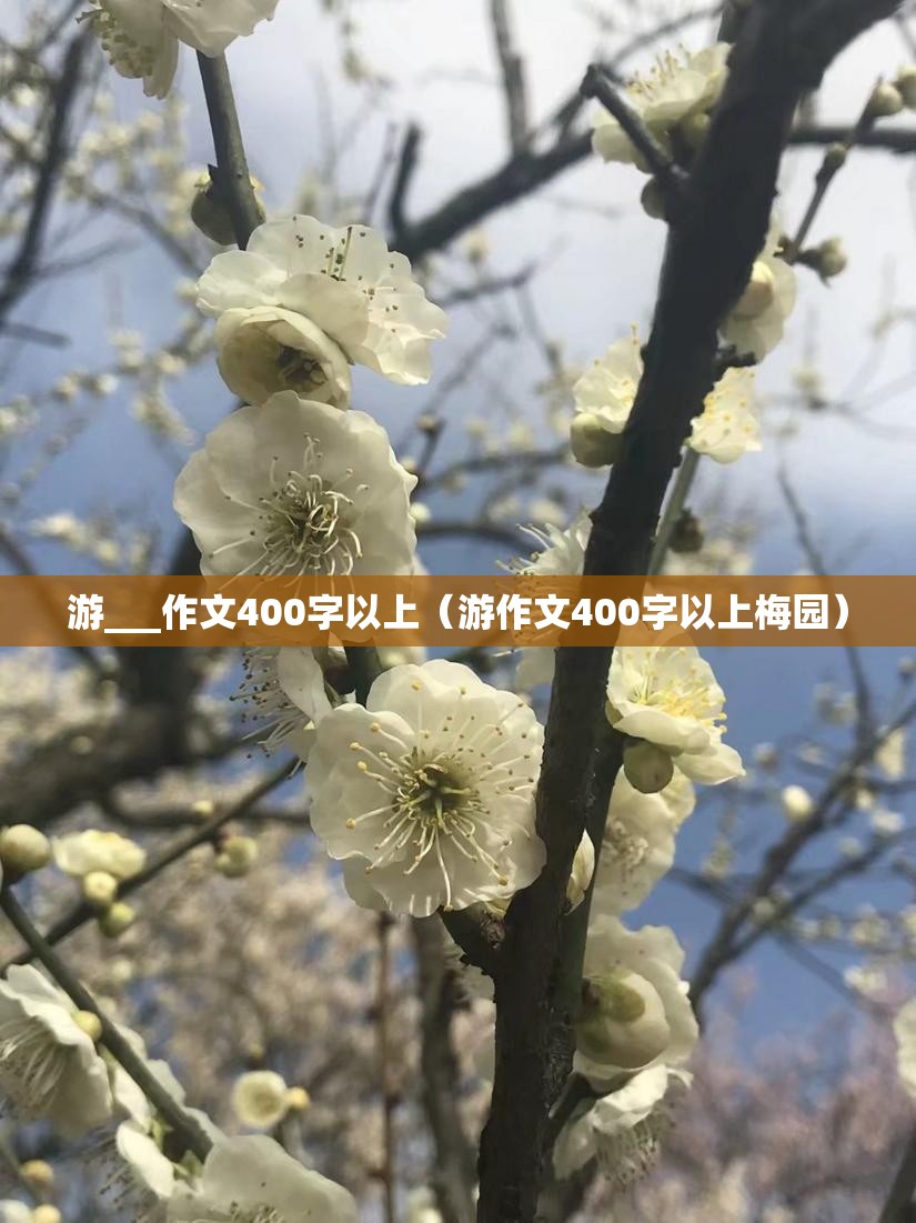游___作文400字以上（游作文400字以上梅园）
