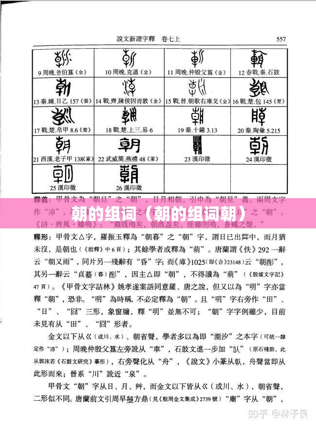 朝的组词（朝的组词朝）