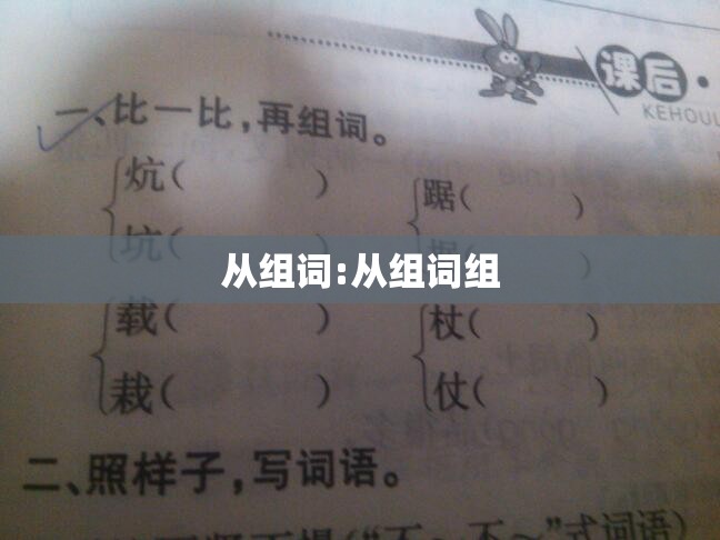 从组词:从组词组