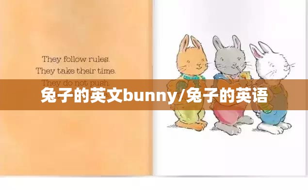 兔子的英文bunny/兔子的英语