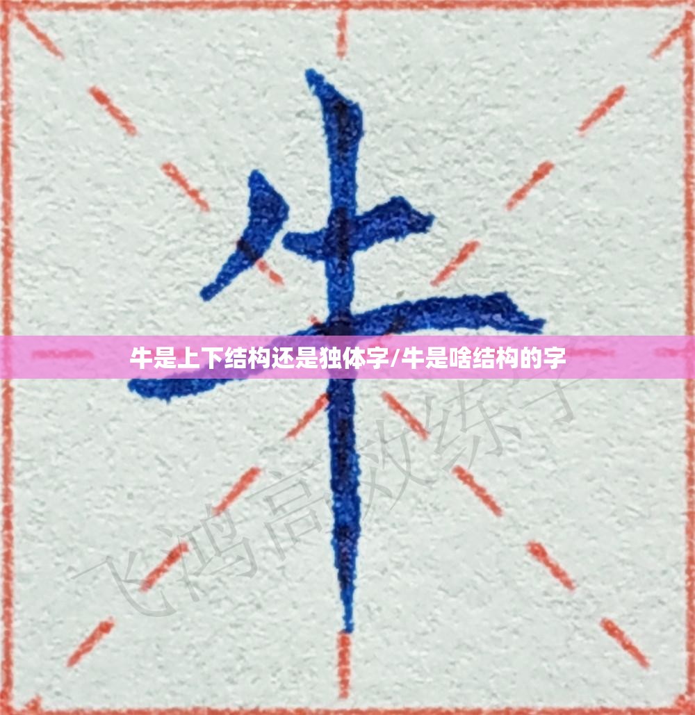 牛是上下结构还是独体字/牛是啥结构的字