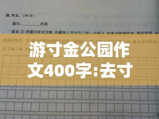 游寸金公园作文400字:去寸金公园玩的作文200字