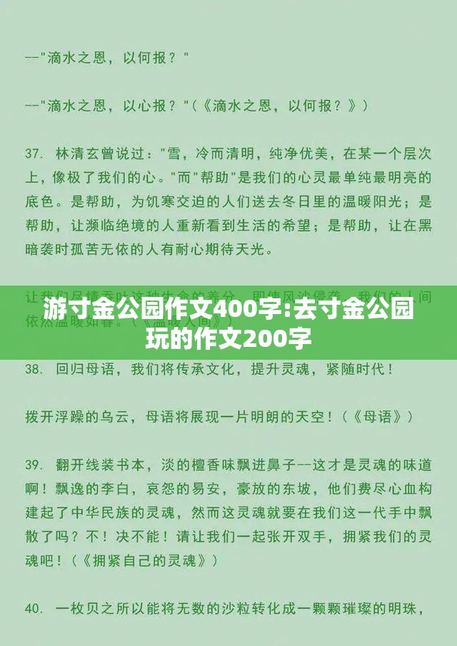 游寸金公园作文400字:去寸金公园玩的作文200字