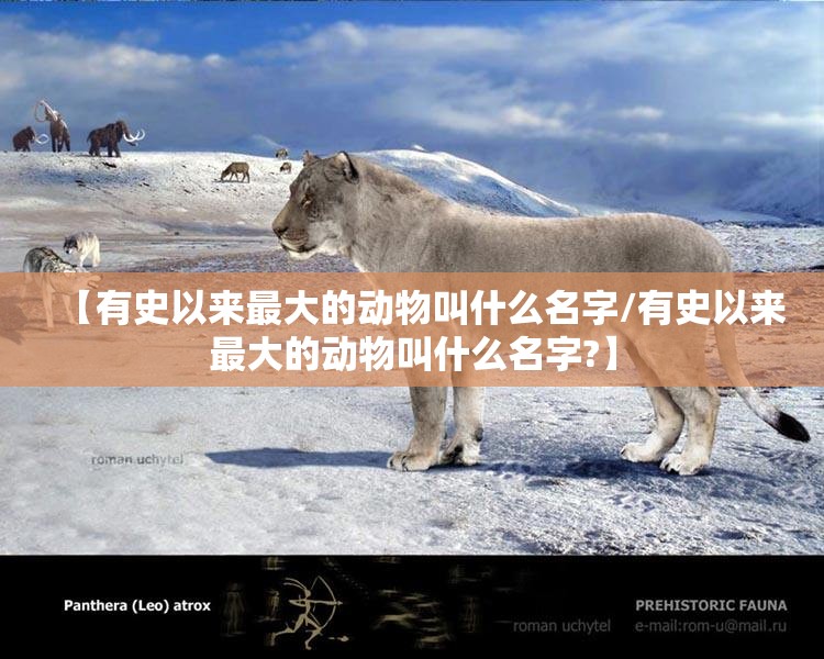 【有史以来最大的动物叫什么名字/有史以来最大的动物叫什么名字?】